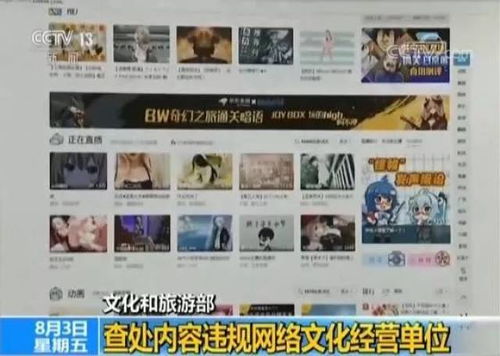 重拳出擊！文化和旅游部查處內(nèi)容違規(guī)網(wǎng)絡(luò)文化經(jīng)營(yíng)單位，為網(wǎng)絡(luò)文化清朗空間保駕護(hù)航